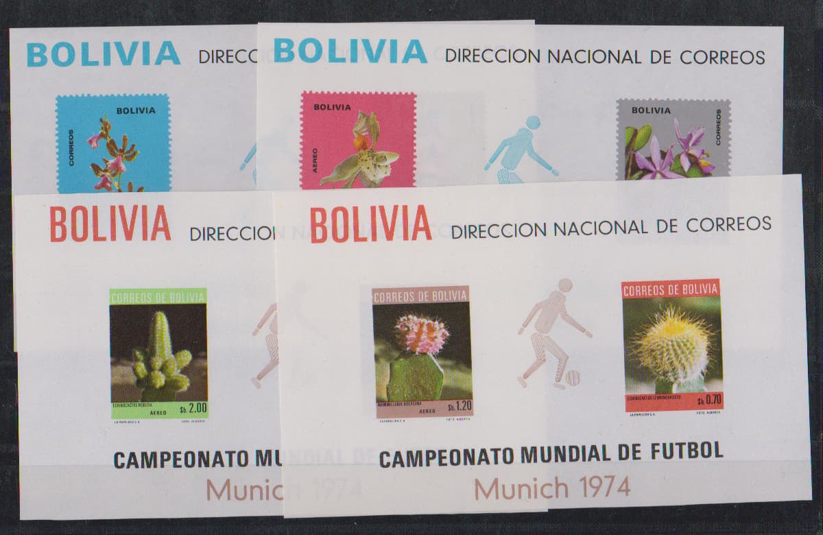 Los 7957 - Fußball-WM 1974, postfrische Zusammenstellung inkl. Äquatorial-Guinea mit sechs versch. Goldblocks, Liberia M. 921-928 mit acht Ministerblocks, Bolivien Bl. 36-39 etc. Mi. 800,-